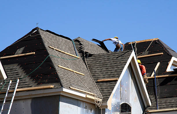 Steel Roofing